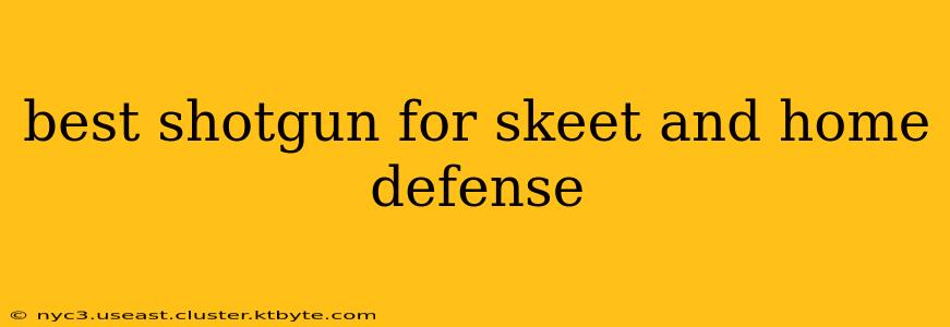 best shotgun for skeet and home defense