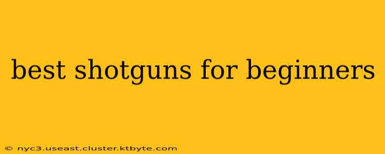 best shotguns for beginners