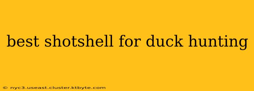 best shotshell for duck hunting