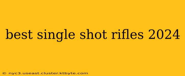 best single shot rifles 2024