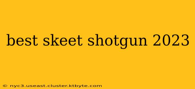 best skeet shotgun 2023