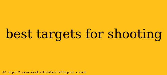 best targets for shooting