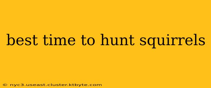 best time to hunt squirrels