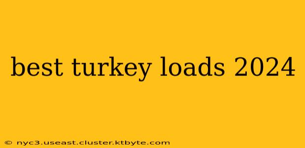 best turkey loads 2024