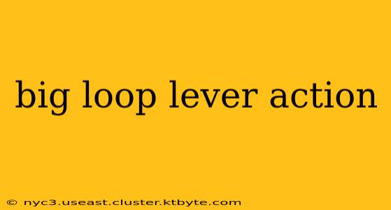 big loop lever action