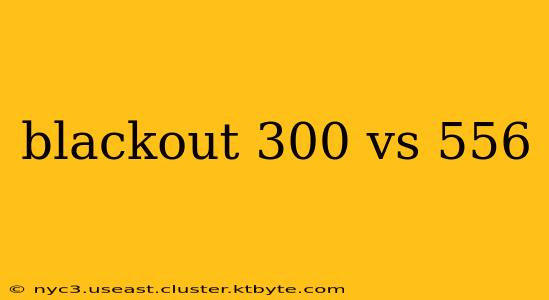 blackout 300 vs 556