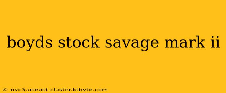 boyds stock savage mark ii