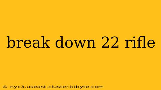 break down 22 rifle