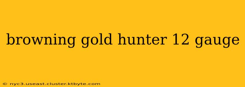 browning gold hunter 12 gauge