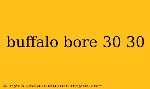 buffalo bore 30 30