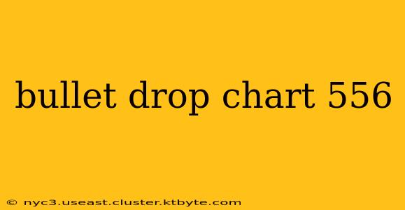 bullet drop chart 556