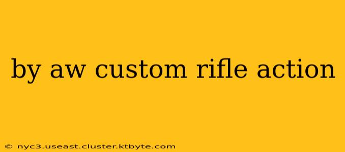 by aw custom rifle action