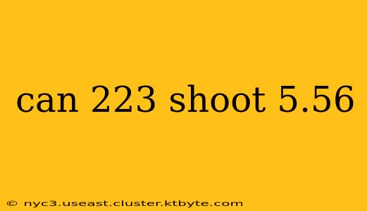 can 223 shoot 5.56