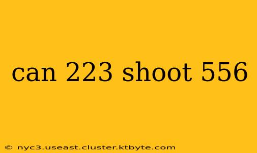 can 223 shoot 556