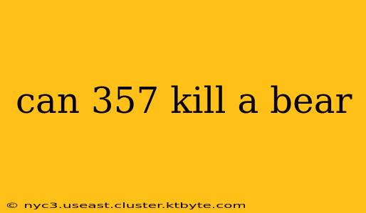 can 357 kill a bear