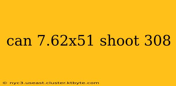 can 7.62x51 shoot 308