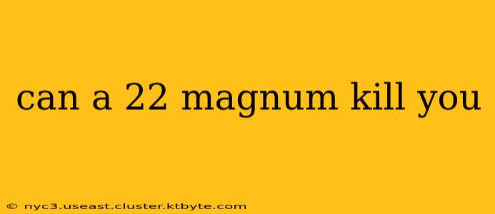 can a 22 magnum kill you