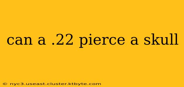 can a .22 pierce a skull