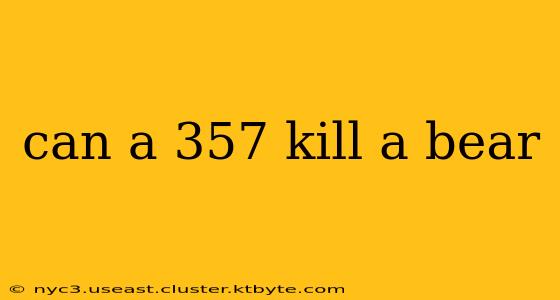 can a 357 kill a bear