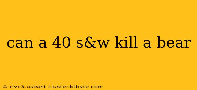 can a 40 s&w kill a bear