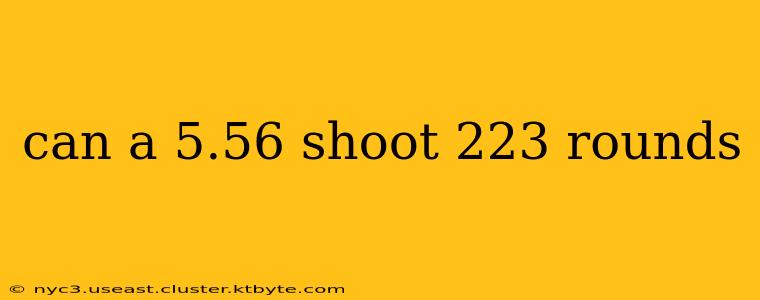 can a 5.56 shoot 223 rounds