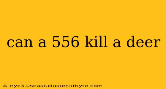 can a 556 kill a deer