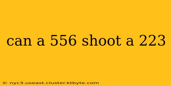 can a 556 shoot a 223