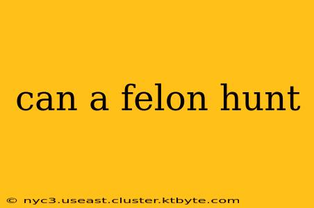 can a felon hunt