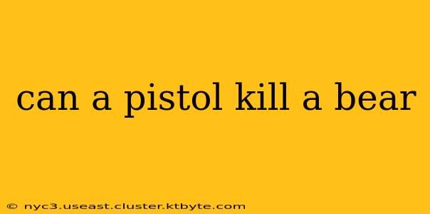 can a pistol kill a bear