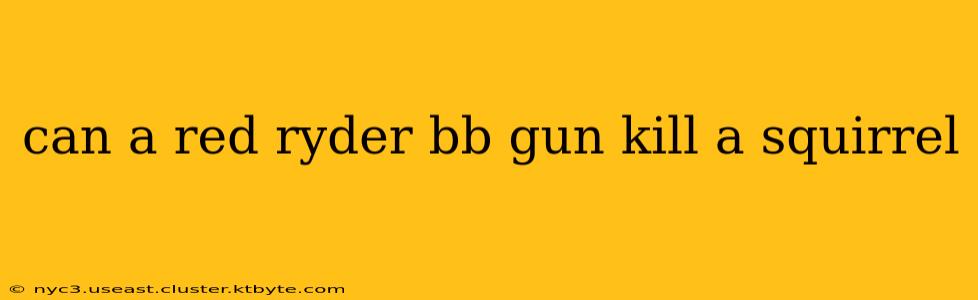 can a red ryder bb gun kill a squirrel