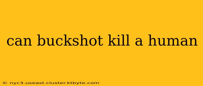 can buckshot kill a human