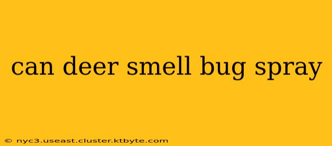 can deer smell bug spray