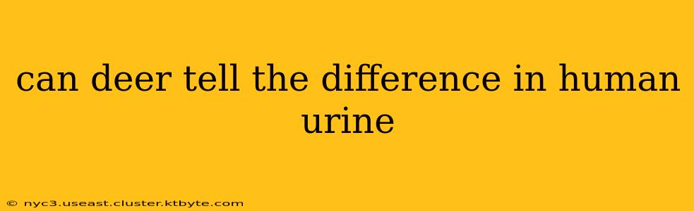 can deer tell the difference in human urine