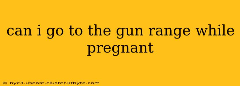 can i go to the gun range while pregnant