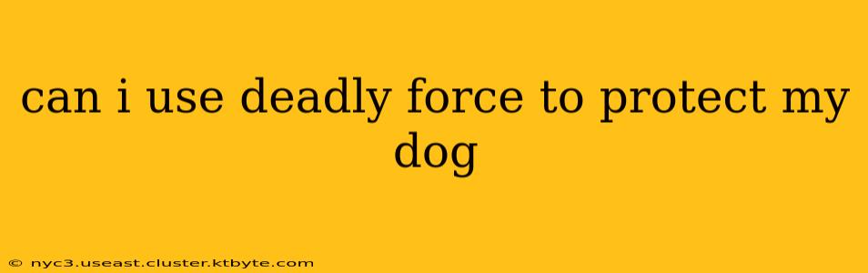 can i use deadly force to protect my dog