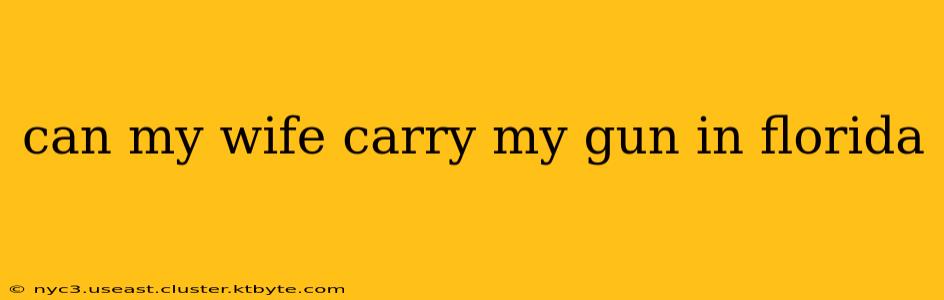 can my wife carry my gun in florida