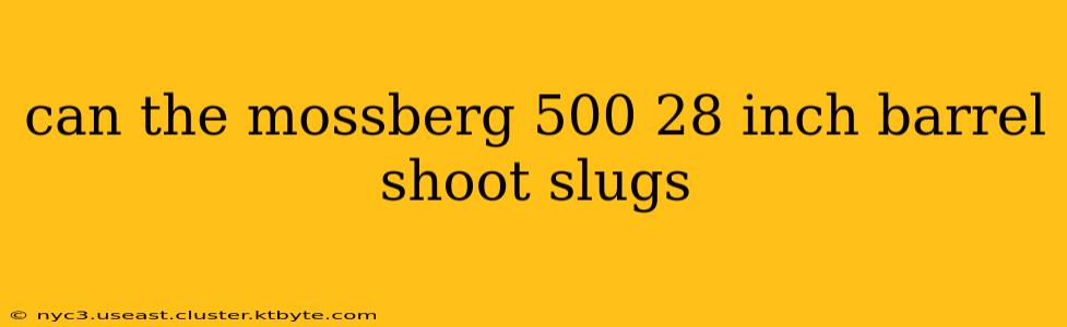 can the mossberg 500 28 inch barrel shoot slugs