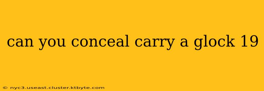 can you conceal carry a glock 19