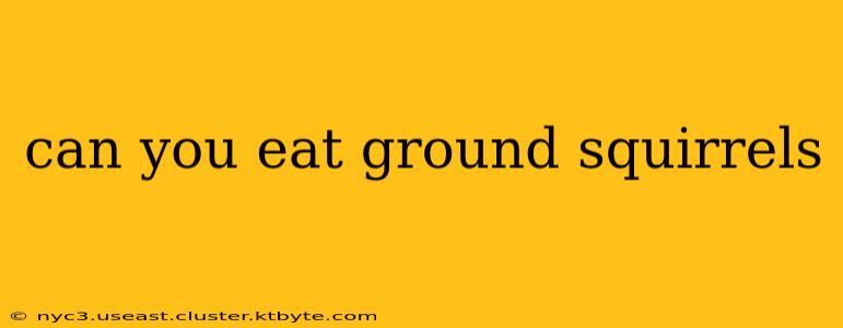 can you eat ground squirrels