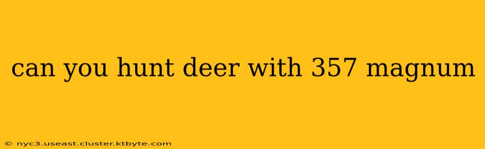 can you hunt deer with 357 magnum