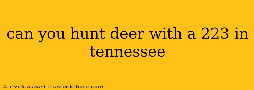 can you hunt deer with a 223 in tennessee