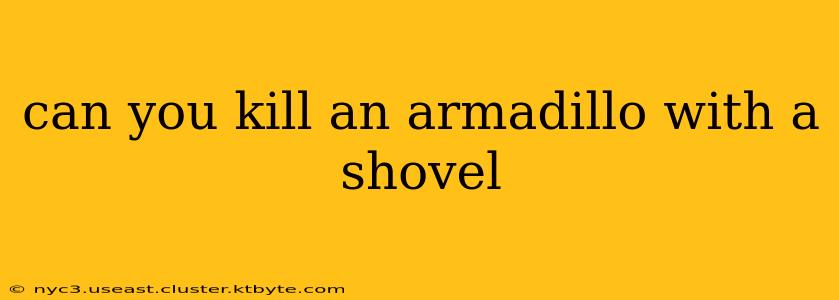 can you kill an armadillo with a shovel