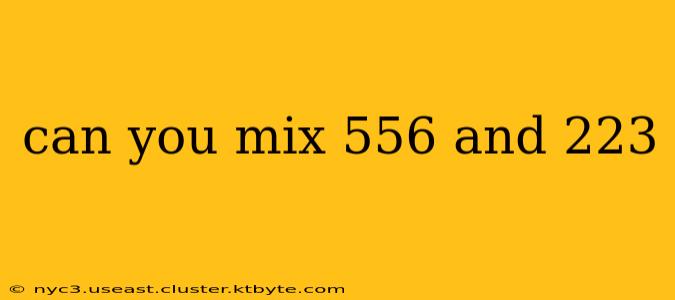 can you mix 556 and 223