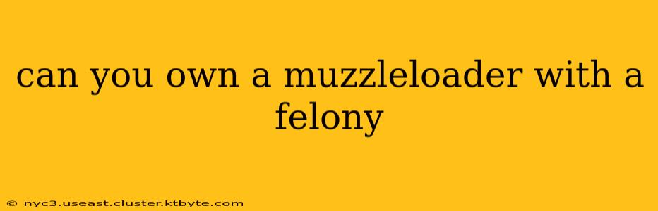 can you own a muzzleloader with a felony