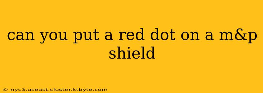 can you put a red dot on a m&p shield