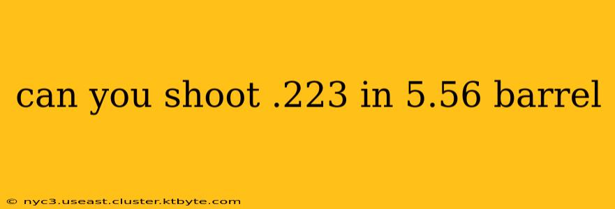 can you shoot .223 in 5.56 barrel