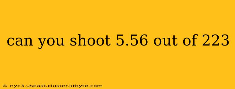 can you shoot 5.56 out of 223