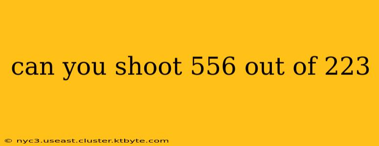 can you shoot 556 out of 223