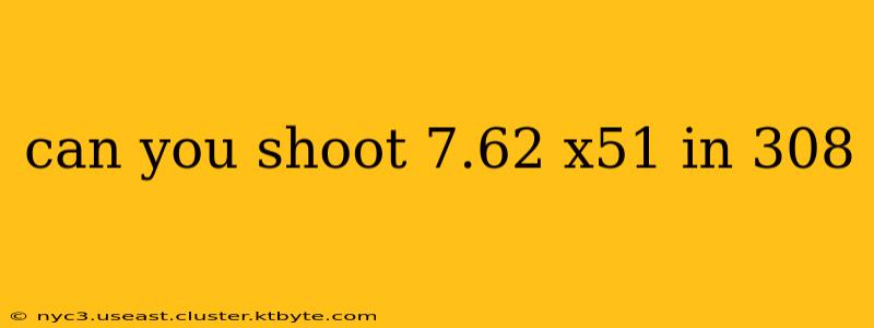 can you shoot 7.62 x51 in 308