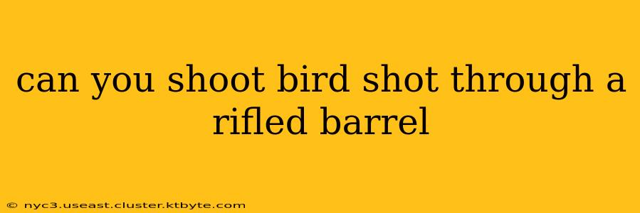 can you shoot bird shot through a rifled barrel